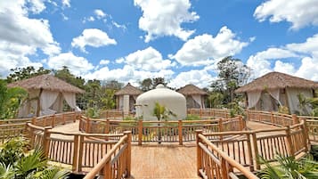 Trị liệu spa