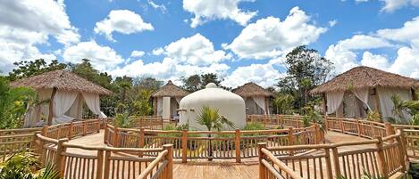 Un complexe hôtelier doté de bungalows aux toits de chaume, de passerelles en bois et d’une végétation luxuriante.