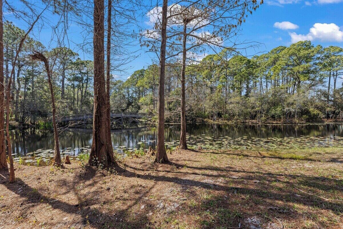 A natural landscape with trees, a pond, and a bridge.