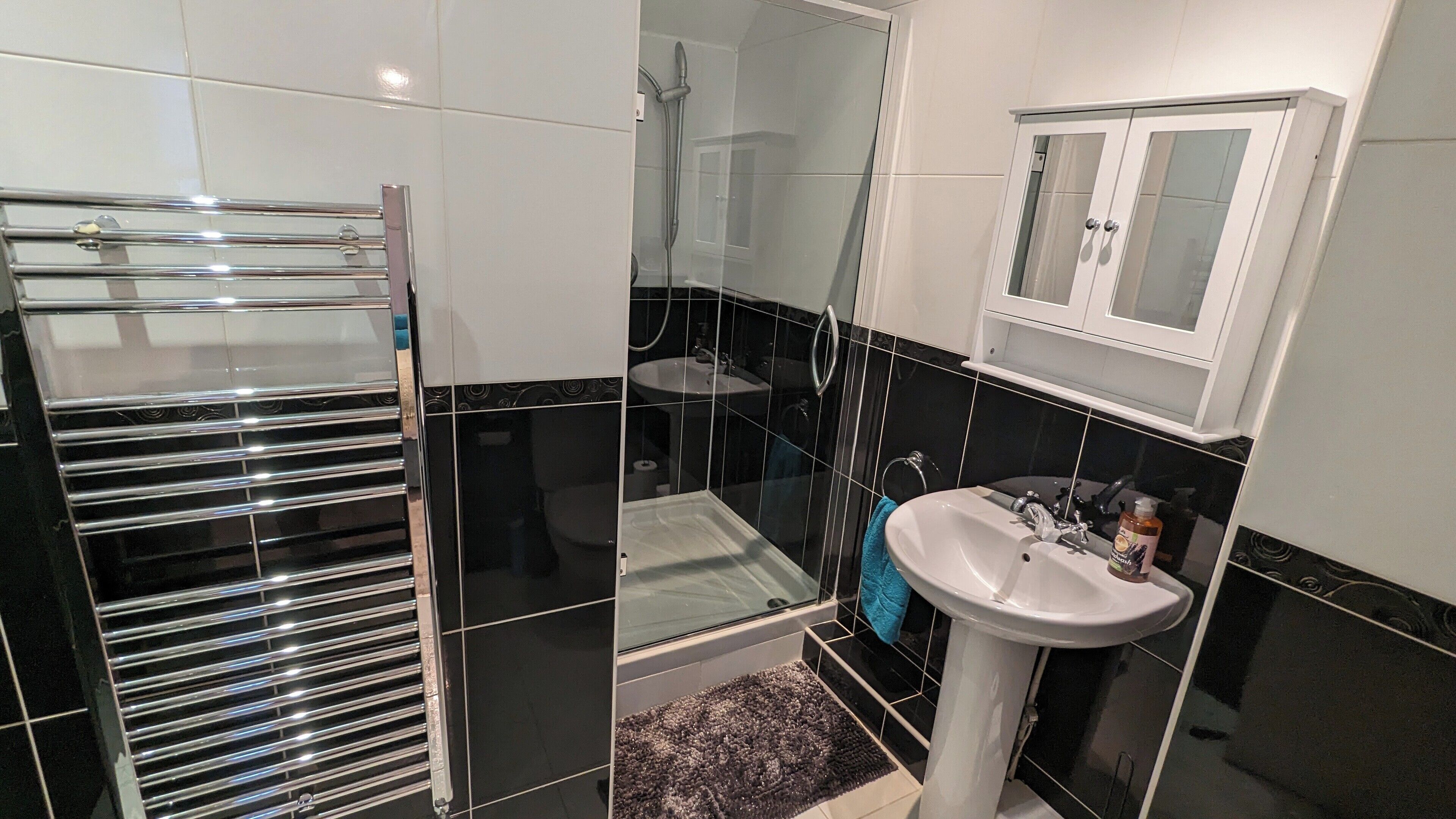 Shower, hair dryer, towels, toilet paper
