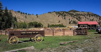Horseback Riding