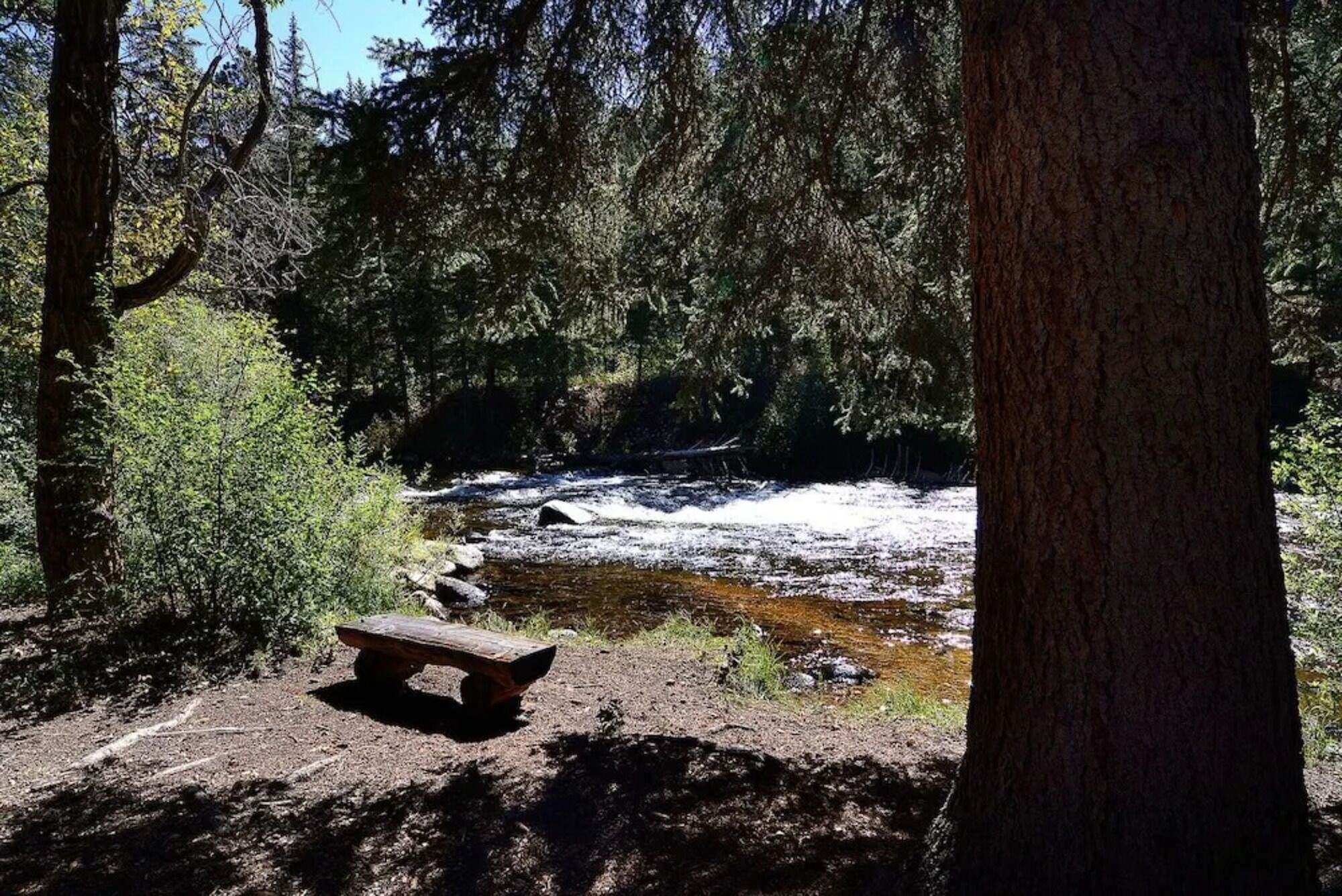 A wooden bench in a forested area with a stream.