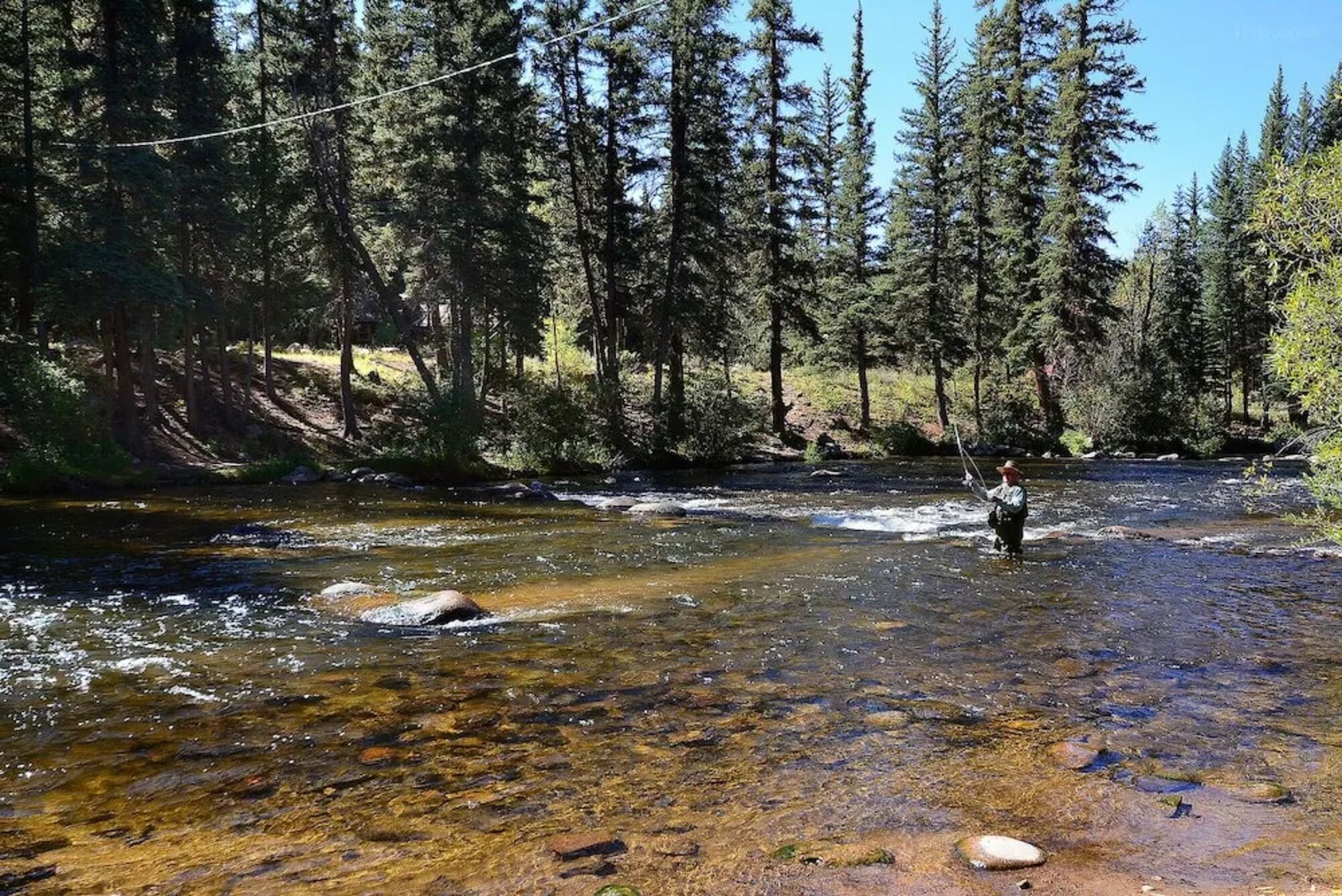 A clear river with rocks and trees in the background.