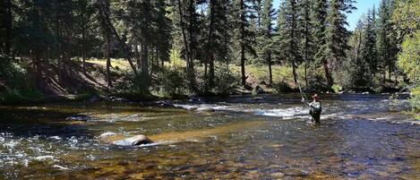 A clear river with rocks and trees in the background.