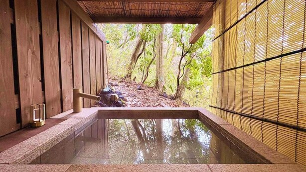A traditional Japanese onsen with wooden walls and a stone bath. - HAKONE saryo KINTOKI (Hakone)