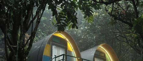 Classic Cabin | Free WiFi