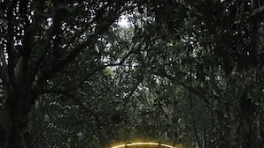 A treehouse with a triangular roof and a balcony, surrounded by dense foliage. - Cloub Cabana Holidays (Kanjirappally)