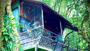 A treehouse with a glass enclosure, metal railing, and a green metal structure. - Cloub Cabana Holidays (Kanjirappally)