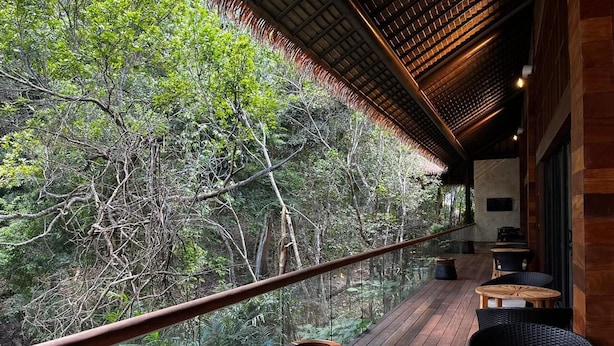 Una terraza de madera con barandilla de vidrio que da a un área boscosa.