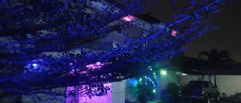 Front of property – evening/night