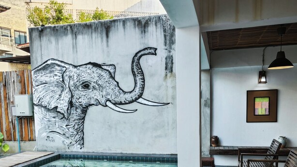Una piscina con un mural de un elefante, mobiliario de madera y suelo de baldosas.