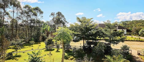 A lush garden with a variety of trees and a small building in the background.