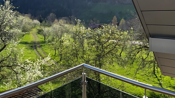 Un balcon offrant une vue sur une vallée verdoyante, une colline boisée et un ciel dégagé.