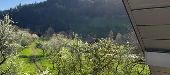 Apartment 'Mit Balkon Im Schwarzwald' with Mountain View, Balcony and Wi-Fi
