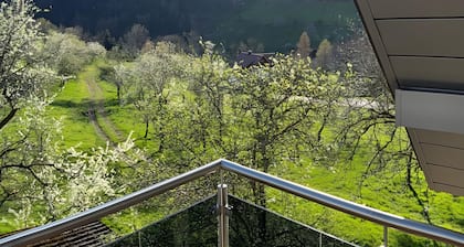Apartment 'Mit Balkon Im Schwarzwald' with Mountain View, Balcony and Wi-Fi