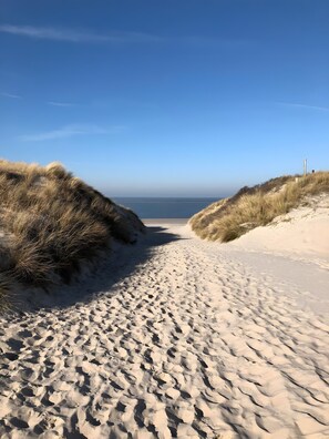A sandy beach path leading to the sea, flanked by dunes.