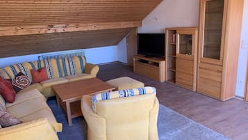 Fernseher