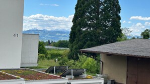 A building with a flat roof, a tall tree, and a view of mountains. - Apartment '01' with Shared Terrace, Balcony and Wi-Fi (Lindau)