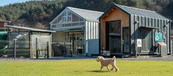 Yangyang Lira Camp