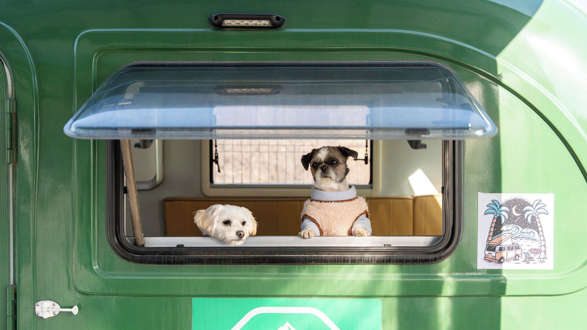 A green vehicle with a rear window and a small open compartment.
