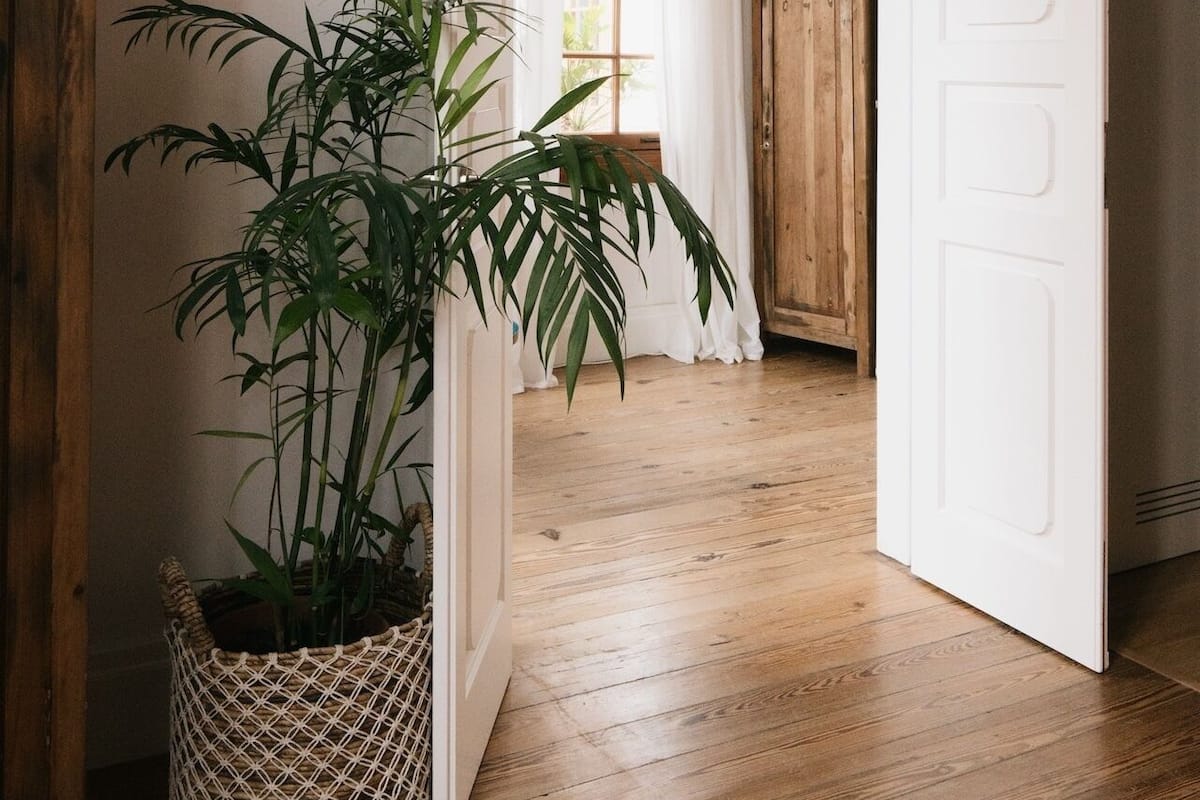 A hallway with wooden flooring, white doors, and a potted plant.
