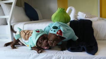 Aceita animais de estimação