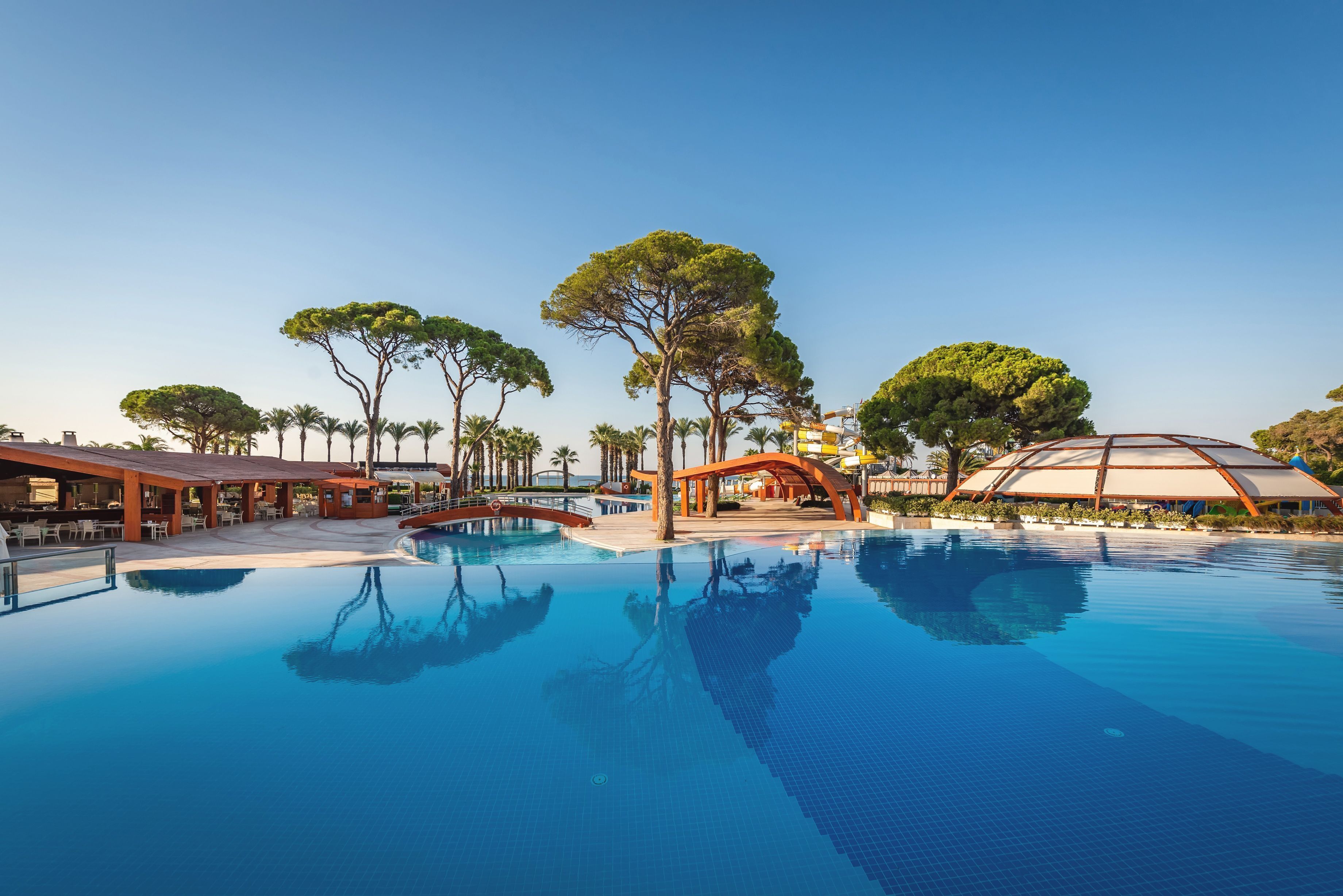 Photo - Paloma Sencia