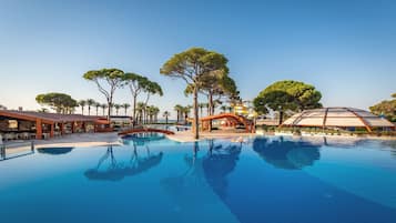 A swimming pool with a clear blue water surface, surrounded by palm trees and covered seating areas.