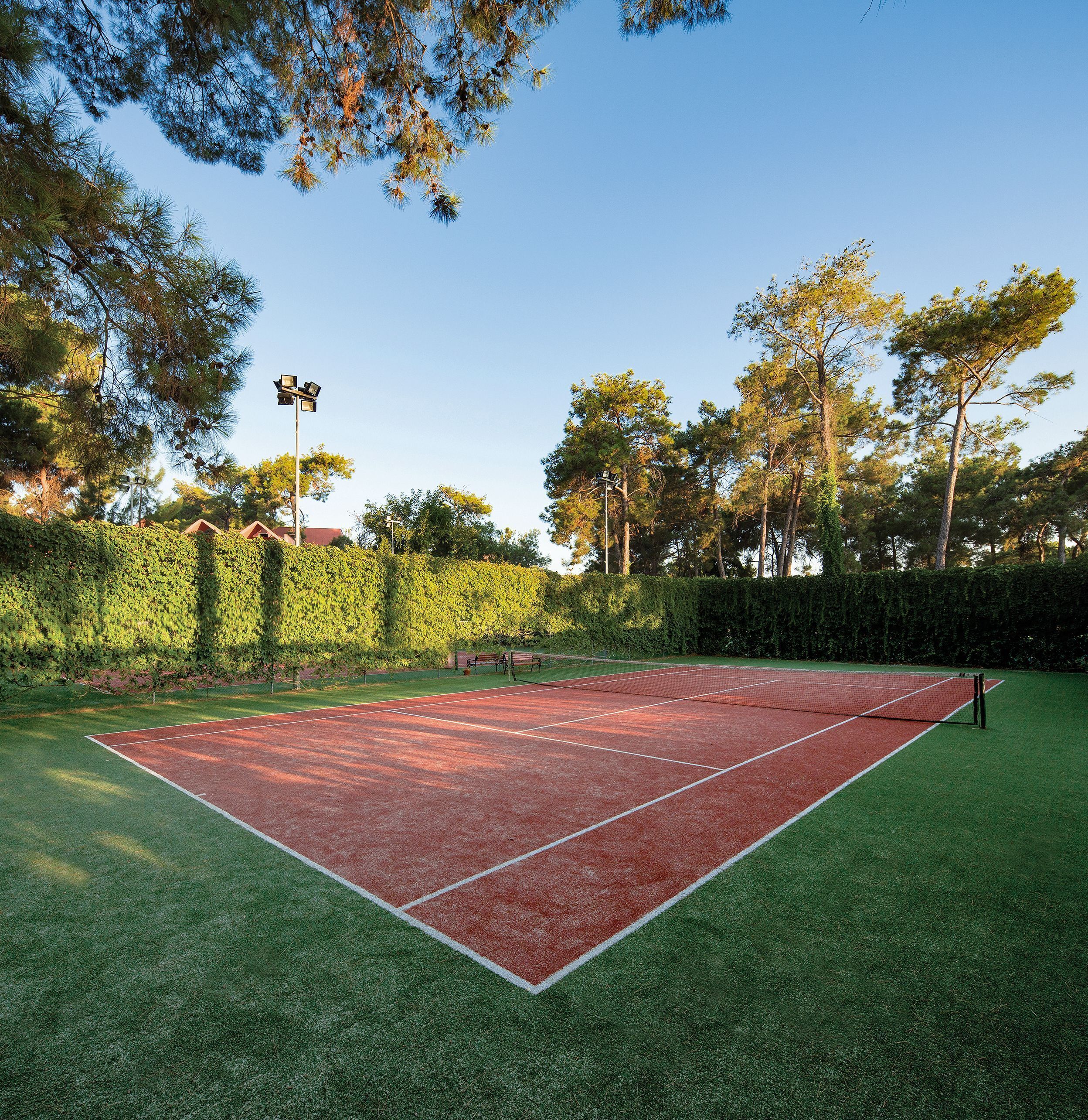 Photo - Paloma Sencia