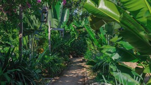 A garden pathway surrounded by lush tropical plants and a wooden fence. - Dong Giao Bungalow Ninh Binh (Trung Son)