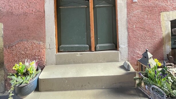 A building entrance with a double door, two wall-mounted lanterns, and potted plants on either side.