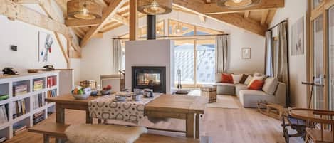 TV, fireplace, books