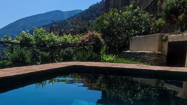 Une piscine aux eaux cristallines, dont le fond présente un motif en chevrons, entourée d’un mur de pierre et d’une végétation luxuriante.