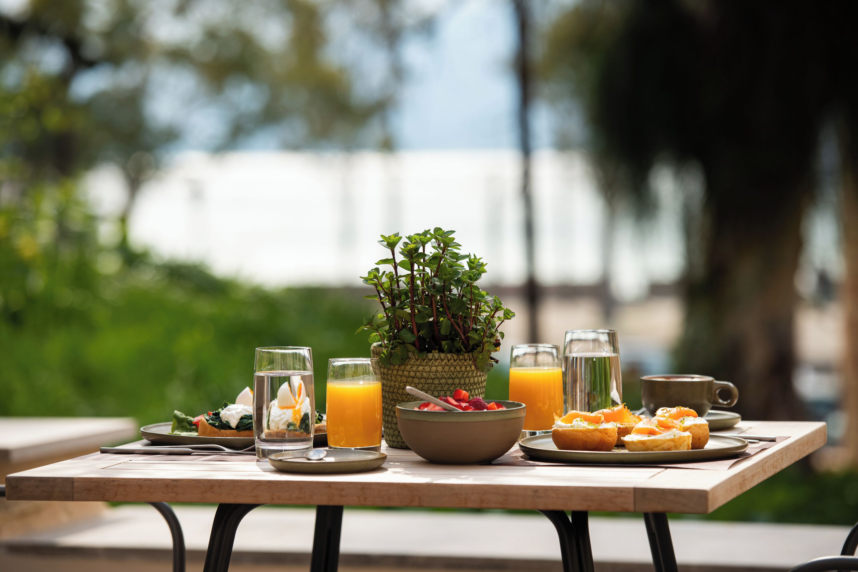 A breakfast table with a bowl of fruit, two glasses of orange juice, a coffee cup, and a small potted plant.