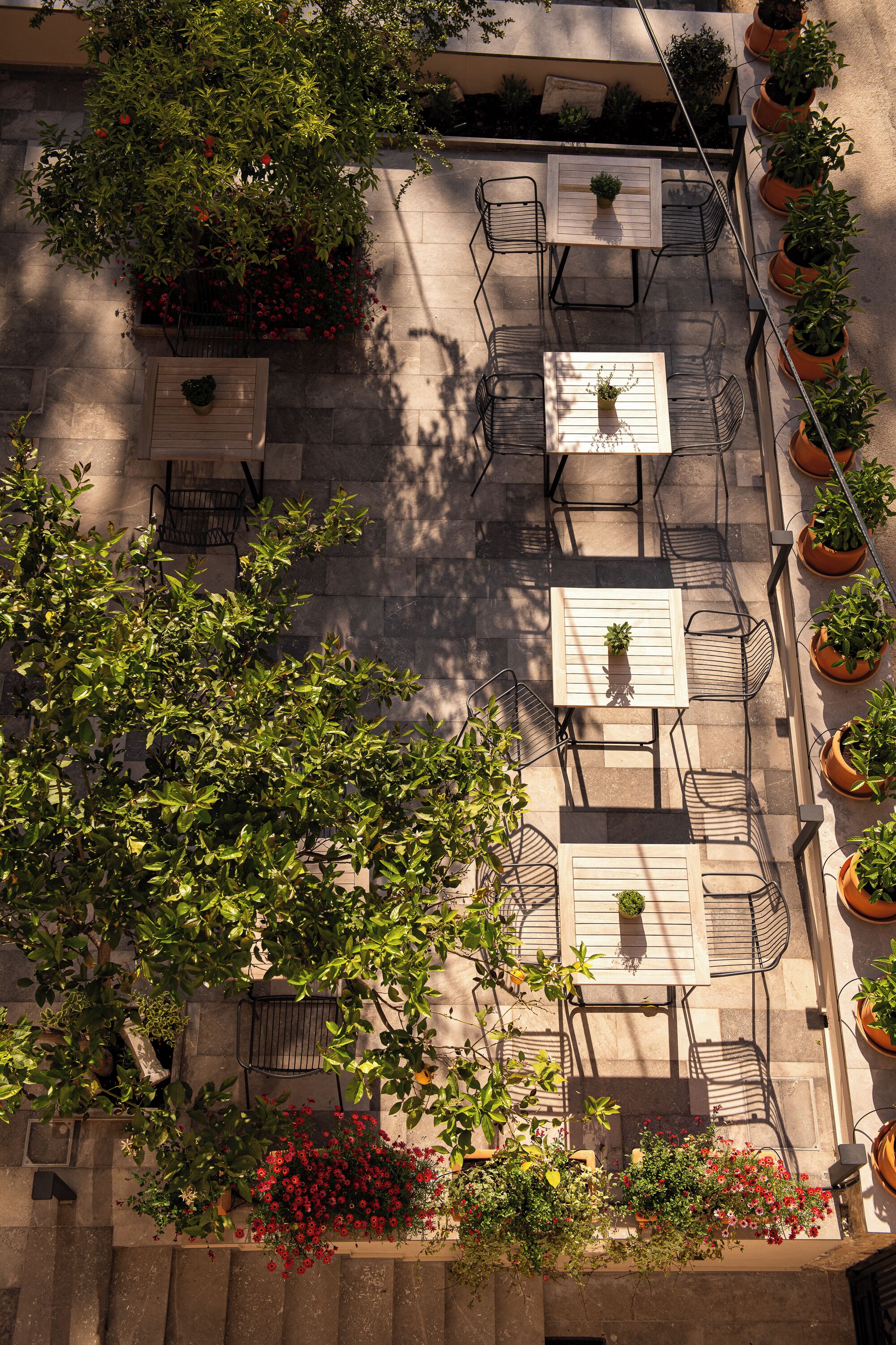 Area patio esterna con tavoli e sedie, circondata da vasi con piante e fiori.