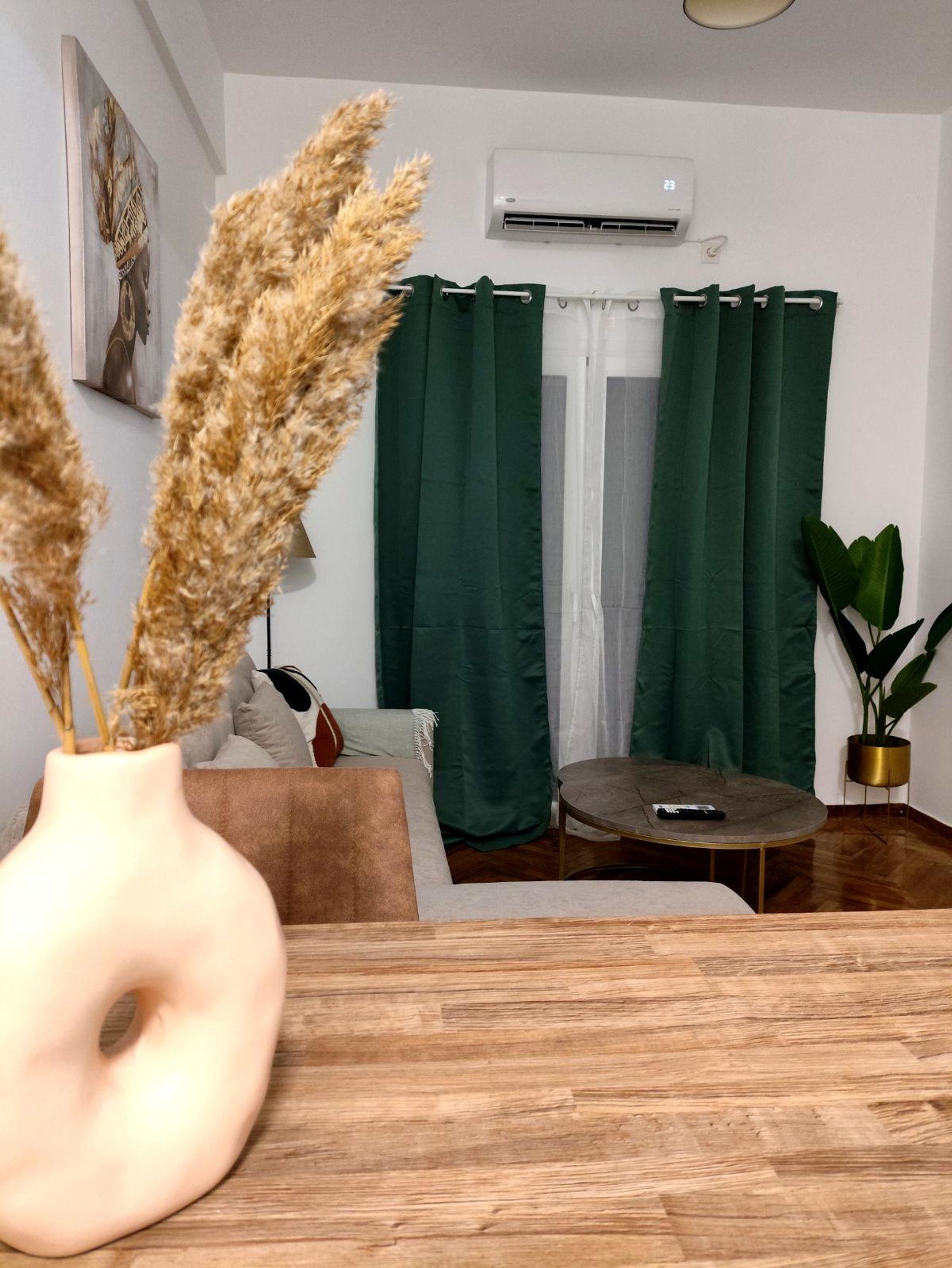 A living room with a sofa, a coffee table, a vase with dried plants, and a potted plant.