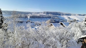 Sekalaista