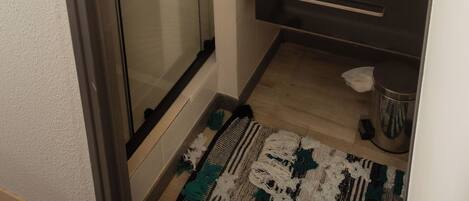 Shower, hair dryer, toilet paper