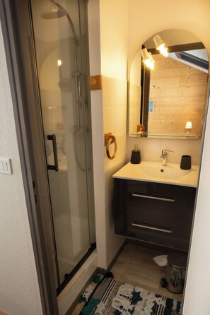 Regadera, secadora de cabello, papel de baño