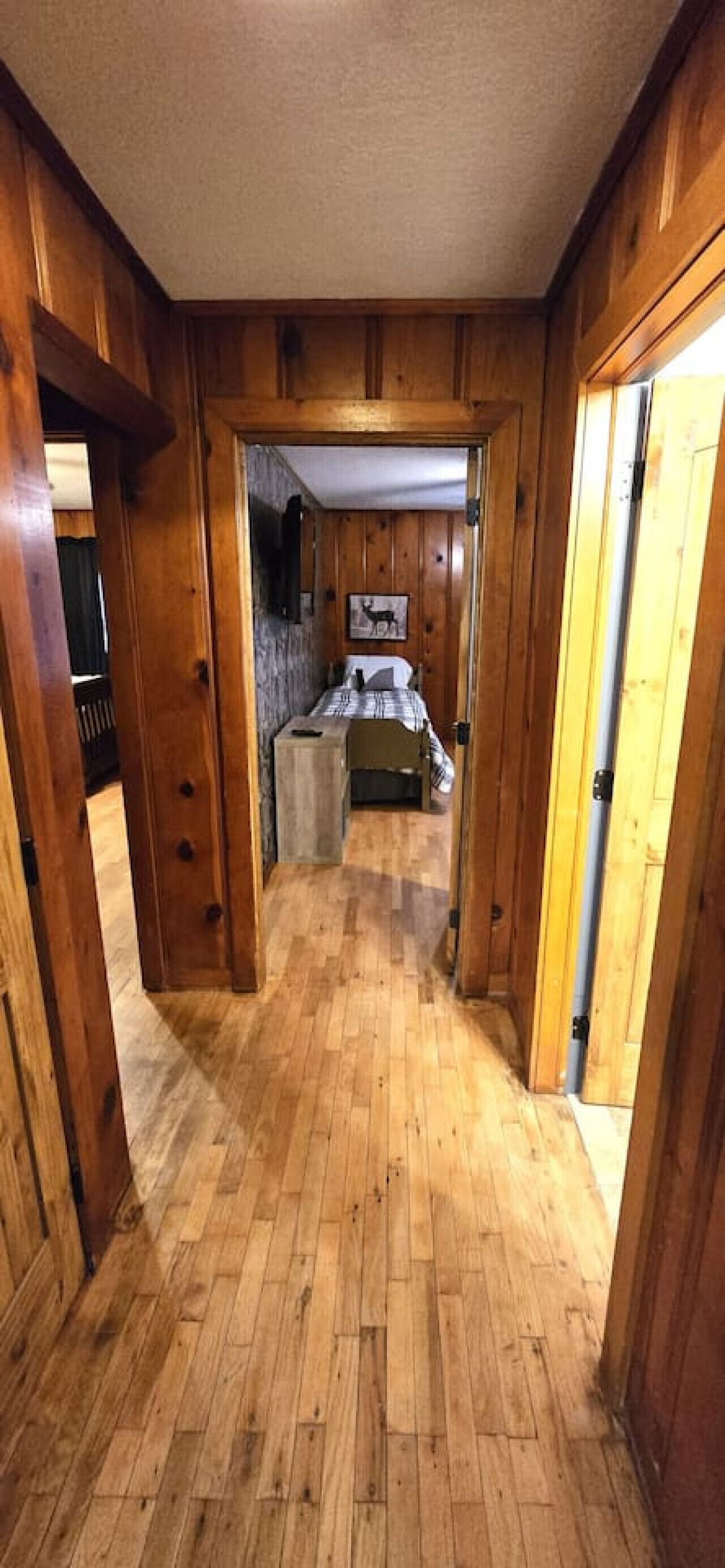 3 habitaciones, tabla de planchar con plancha y wifi gratis 