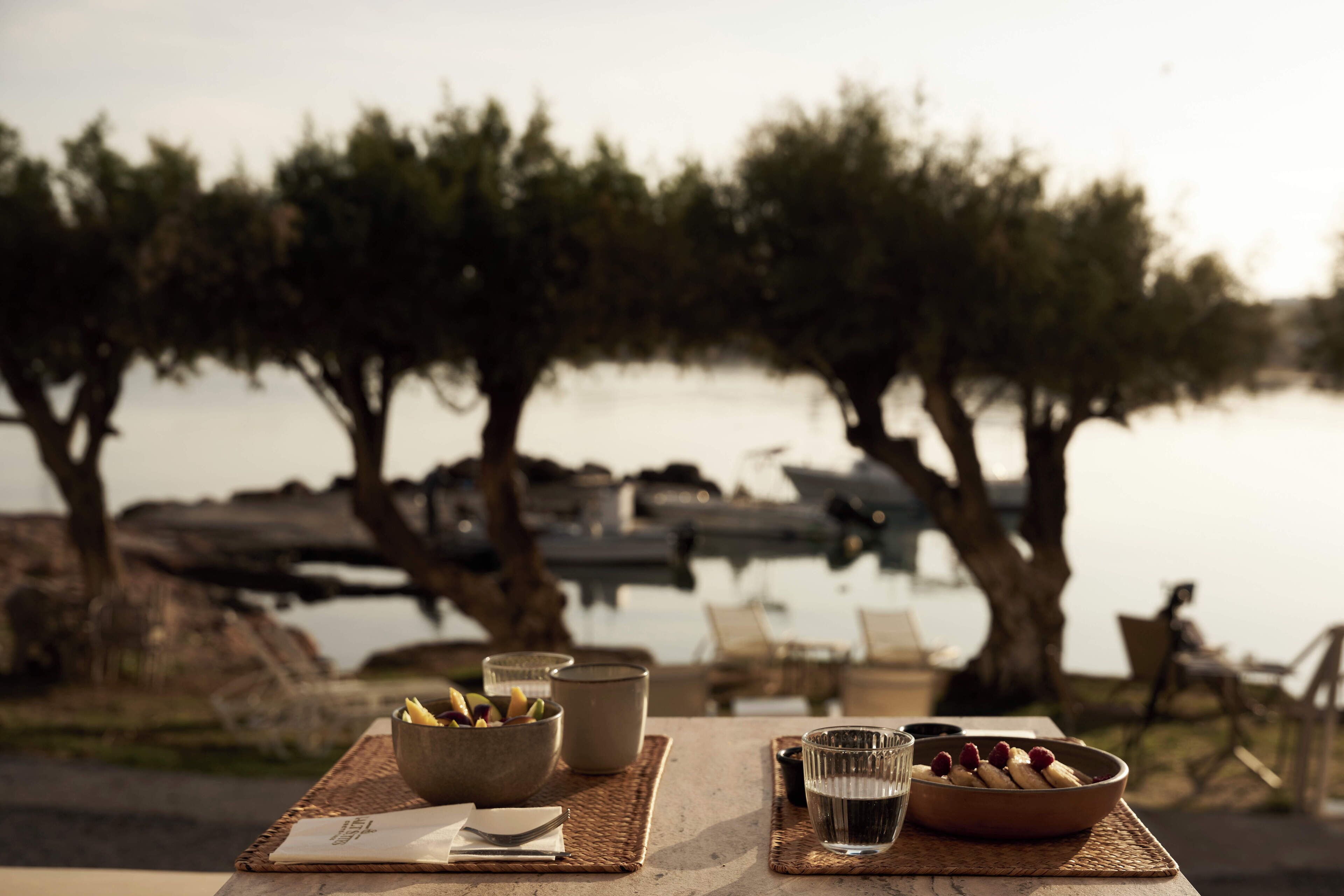 A table with bowls of food, a glass of water, and a menu, set against a backdrop of trees and a body of water.