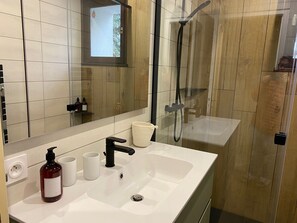 Shower, hair dryer, bidet, towels - 2-storey, 4-bedroom apartment in a detached house in Menthon St B (Menthon-Saint-Bernard)