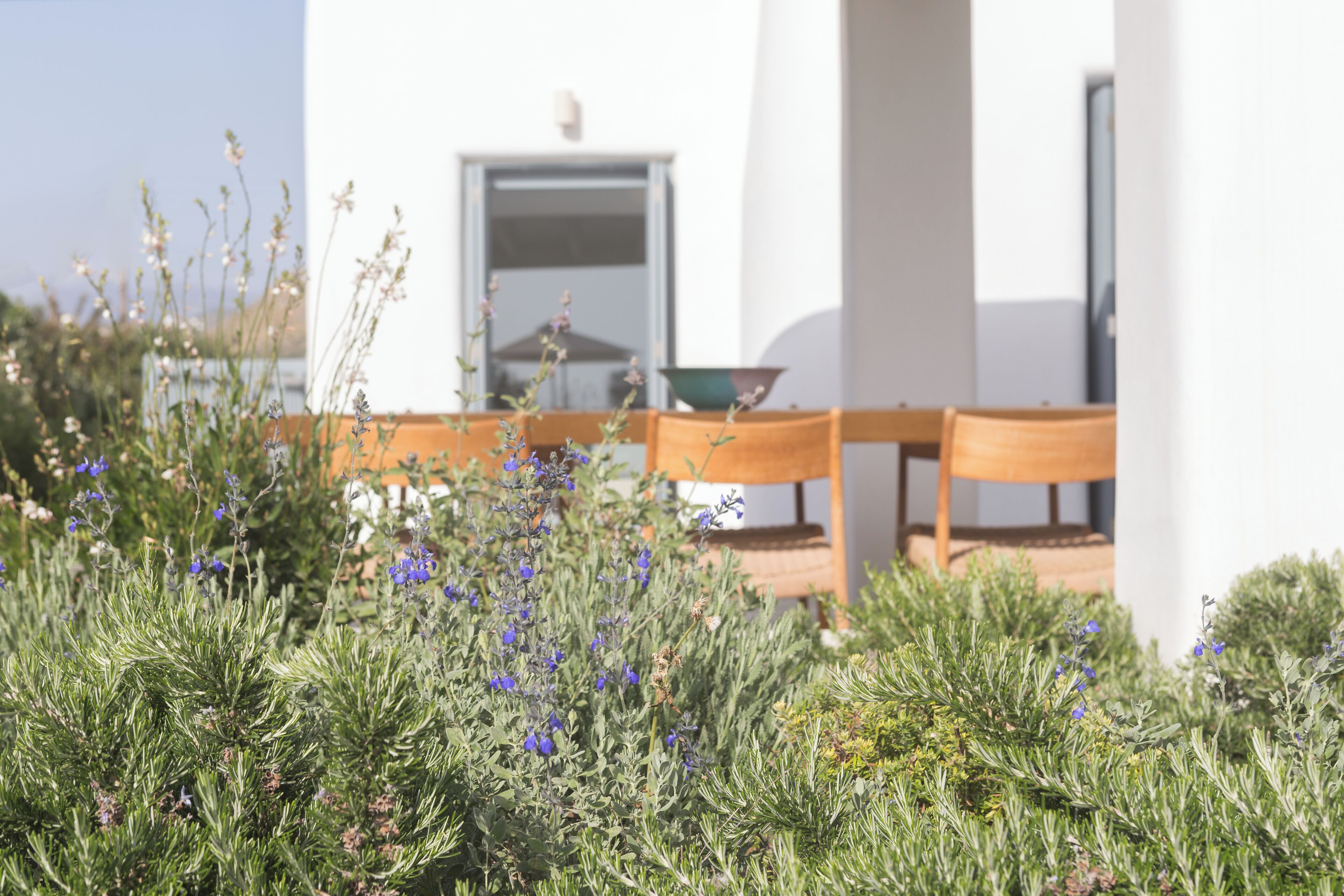 Un edificio blanco con puerta y ventanas, rodeado de arbustos verdes y flores azules.