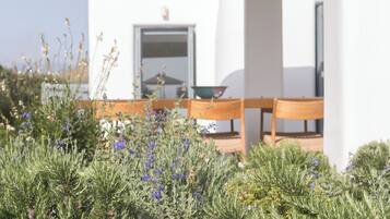 Un edificio blanco con puerta y ventanas, rodeado de arbustos verdes y flores azules.