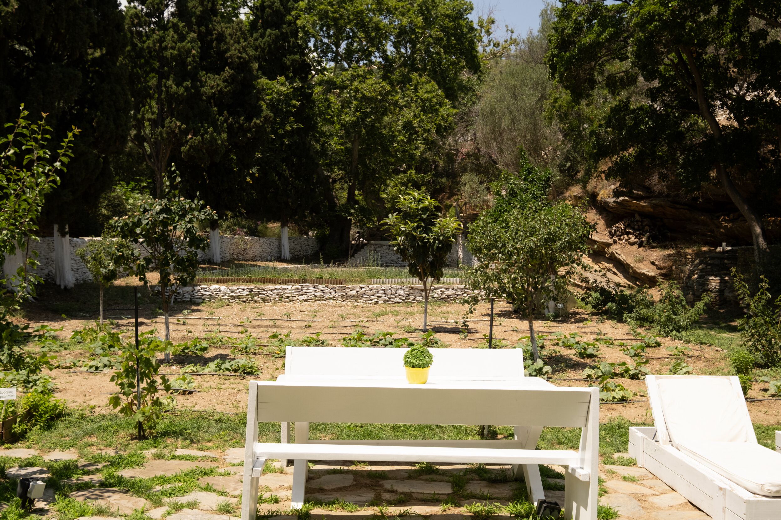 Un jardín con un banco blanco y sillones de descanso, rodeado de árboles y un muro de piedra.