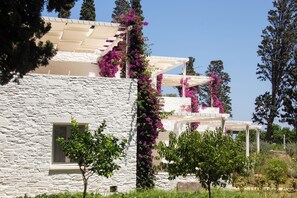 A stone building with a white facade and a pergola covered with purple flowers. - Votsalo Sea Side (Andros)