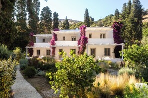 A two-story building with a white exterior, surrounded by lush greenery and flowering plants. - Votsalo Sea Side (Andros)