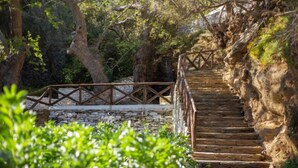 A stone staircase leading up a rocky path, surrounded by greenery and trees. - Votsalo Sea Side (Andros)