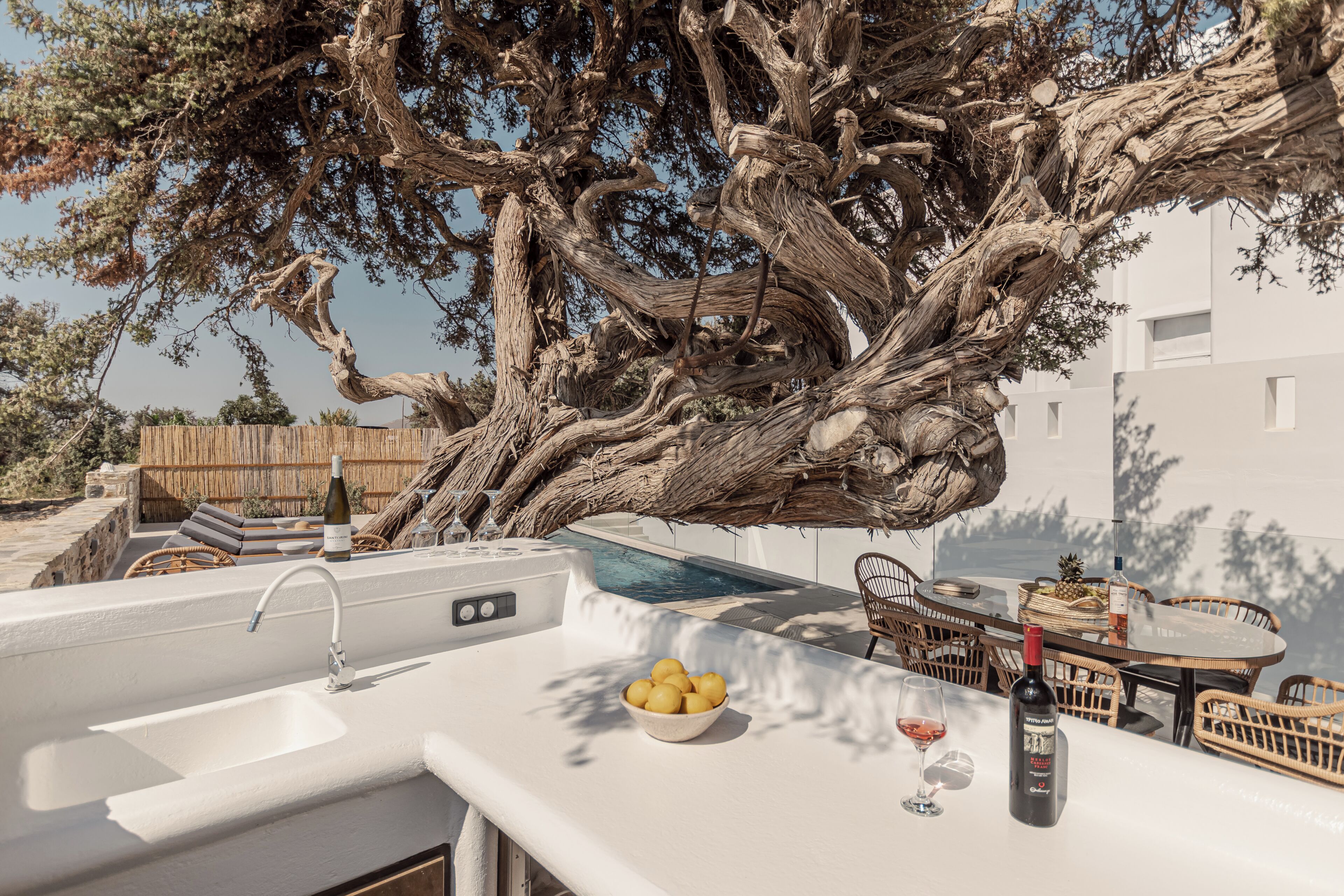 A kitchen area with a sink, a bowl of lemons, a wine bottle, and a glass of red wine.