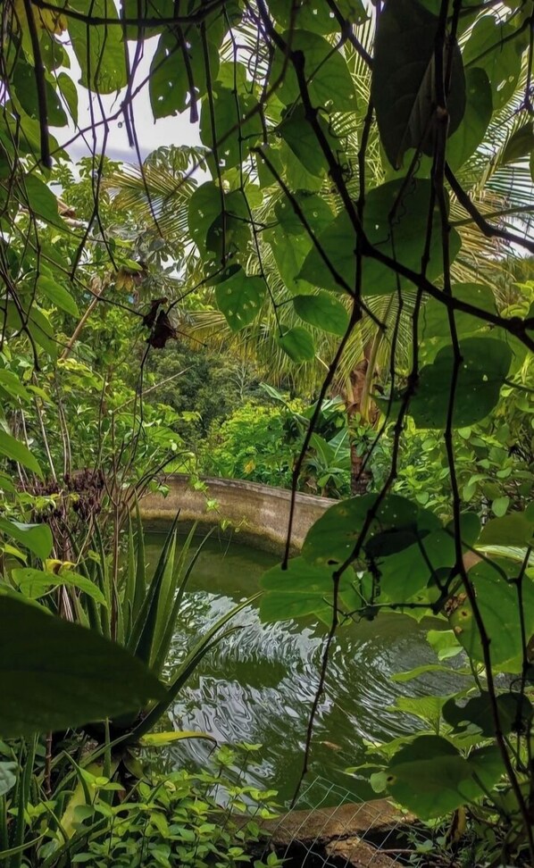 Chambre Triple Classique, vue lac